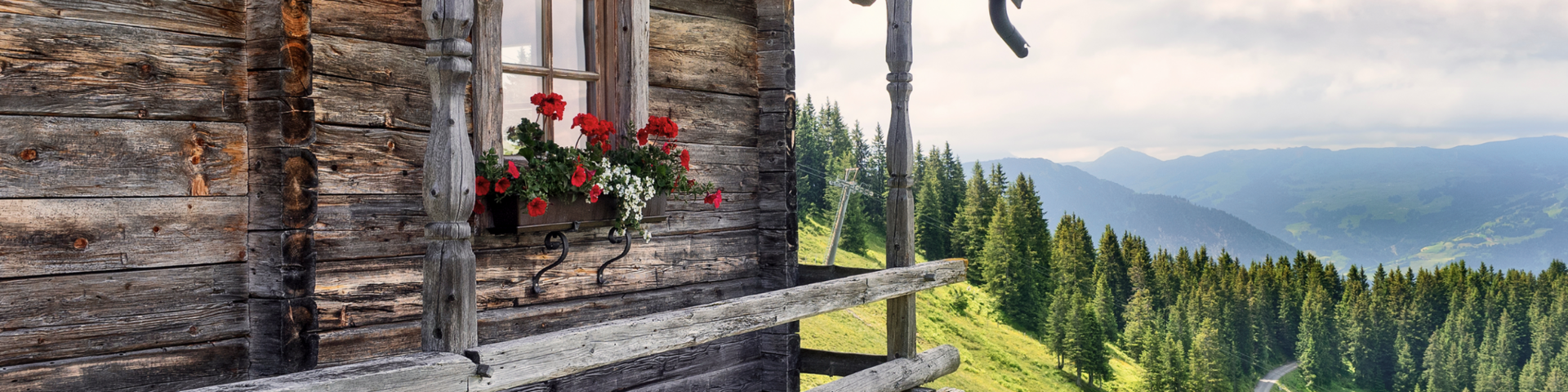 Headerbild der Seite Apartments Sommer